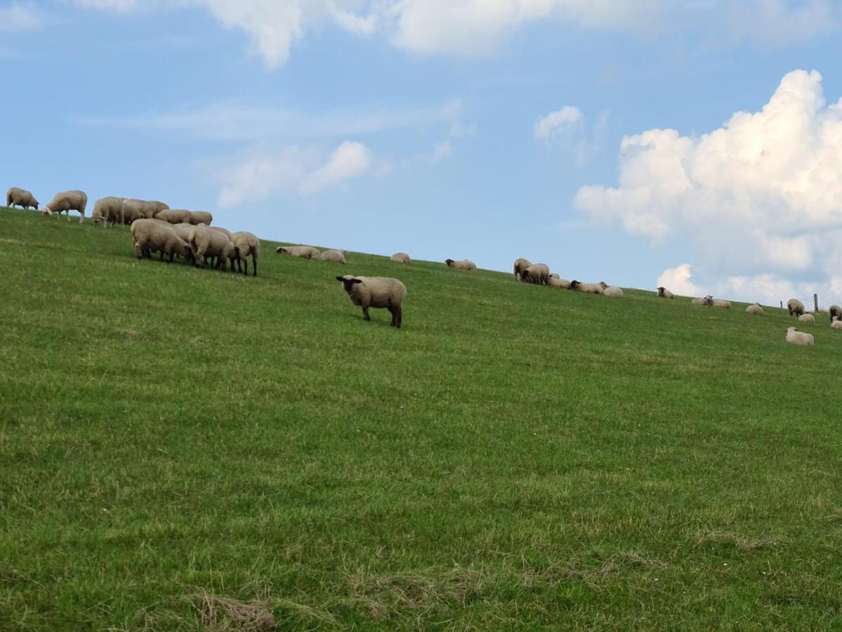 Haus Kuestenbrise - Urlaub Mit Hund An Der Kueste Mit Eigenen Garten, Sauna Und Gemuetlichen Kaminfeuer Schweiburg المظهر الخارجي الصورة